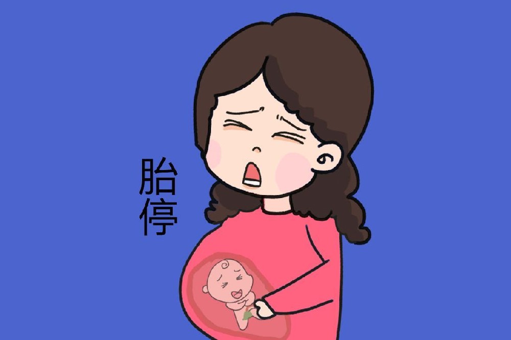 喜得好孕：多次胎停育是什么原因，治疗方法有哪些？