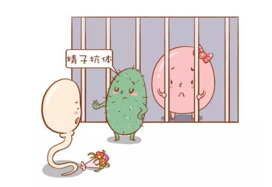 喜得贝贝：男性精子的质量与其性欲的强度存在关联