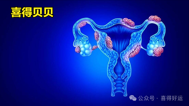 喜得贝贝：内膜厚度OK就移植？决定好孕的两大要素揭秘，子宫内膜容受性与胚胎筛选的关键作用