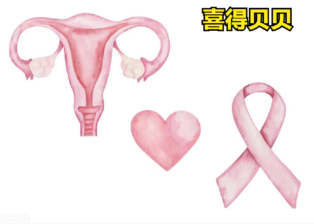 喜得贝贝：一文看懂子宫前位和后位的区别
