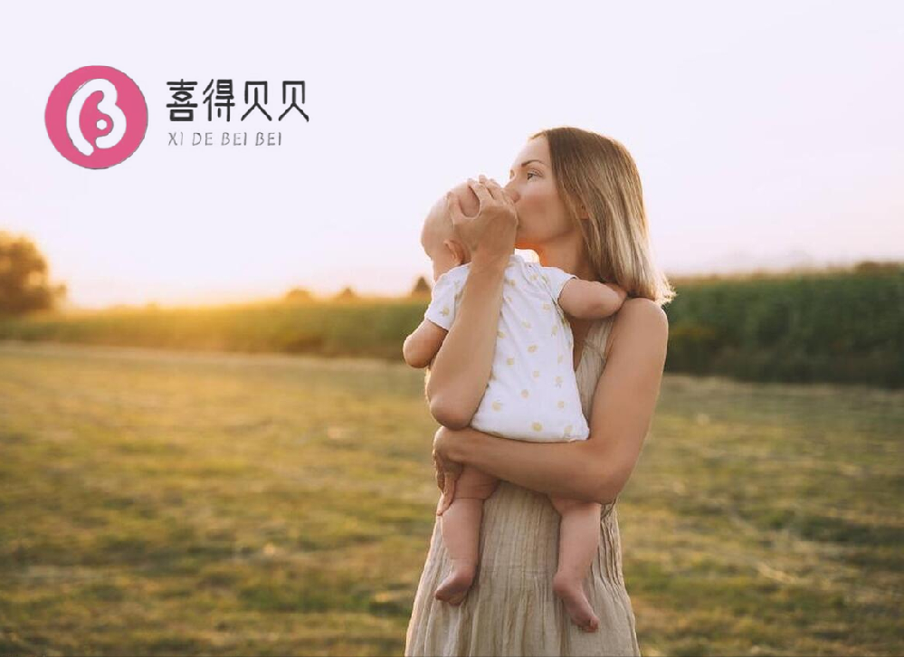 喜得贝贝：如果放到现在你也会选择不结婚只生娃吗？