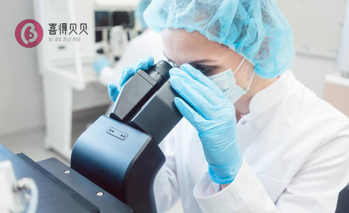 喜得贝贝：想去格鲁吉亚试管婴儿助孕，但黄体功能不足有影响吗？