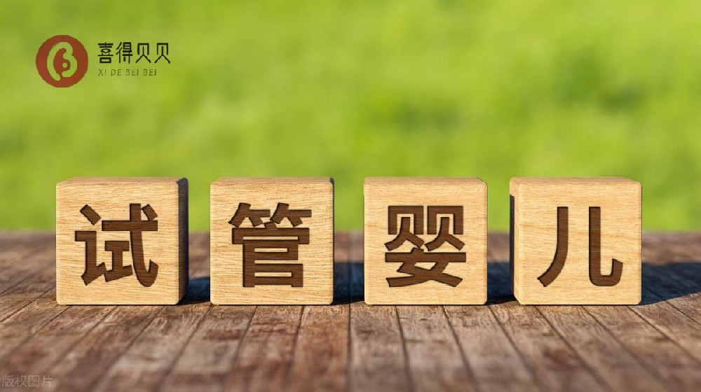 喜得贝贝：夫妻单身格鲁吉亚试管婴儿助孕宝宝回国上户口流程