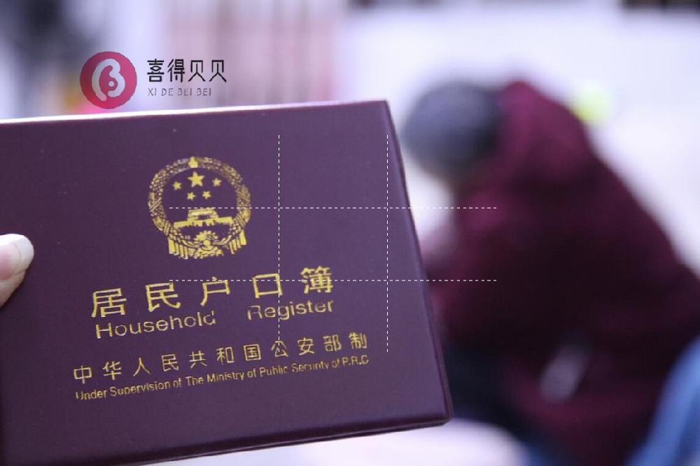 格鲁吉亚生子回国后，上户口全攻略