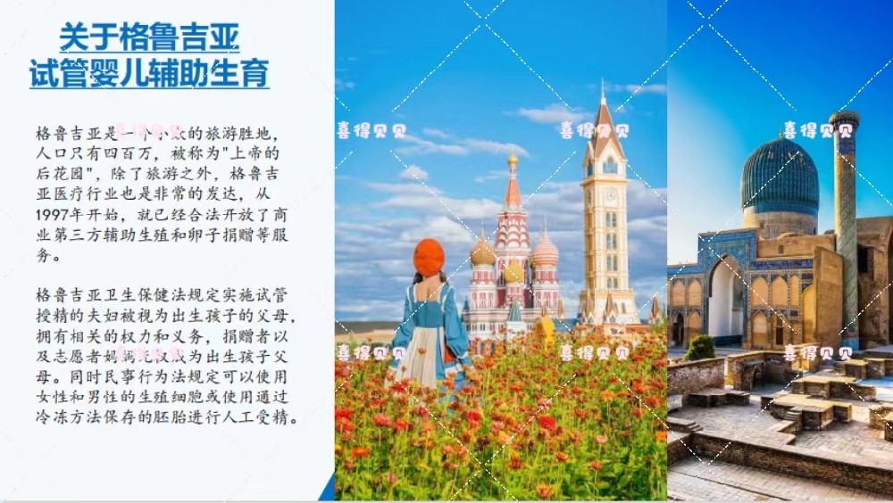 关于格鲁吉亚试管婴儿，你需要知道的真相